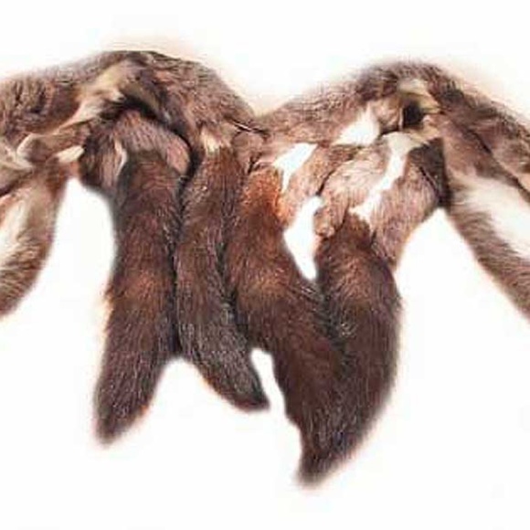 SHAWL, RUSSIAN SQUIRREL, 1957, GREY BACKS/WHITE BELLIES, EACH OF THE FOUR IS 28 - Picture 10 of 11